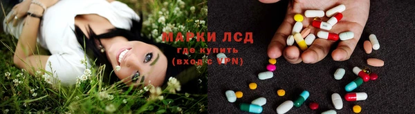 сатива Алексеевка