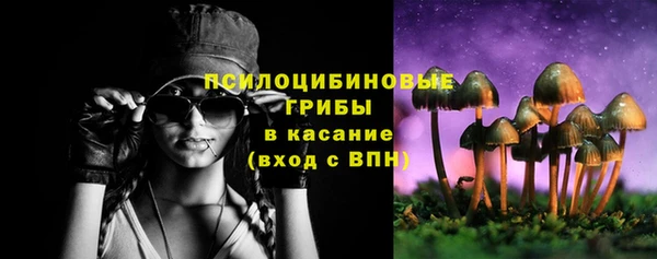 сатива Алексеевка