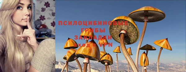 соль ск Алзамай
