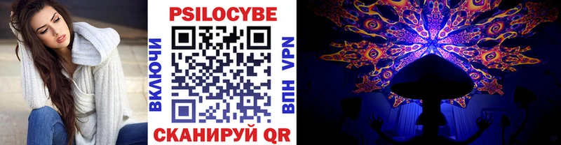 omg рабочий сайт  Сенгилей  сайты даркнета Telegram  Галлюциногенные грибы Psilocybine cubensis 